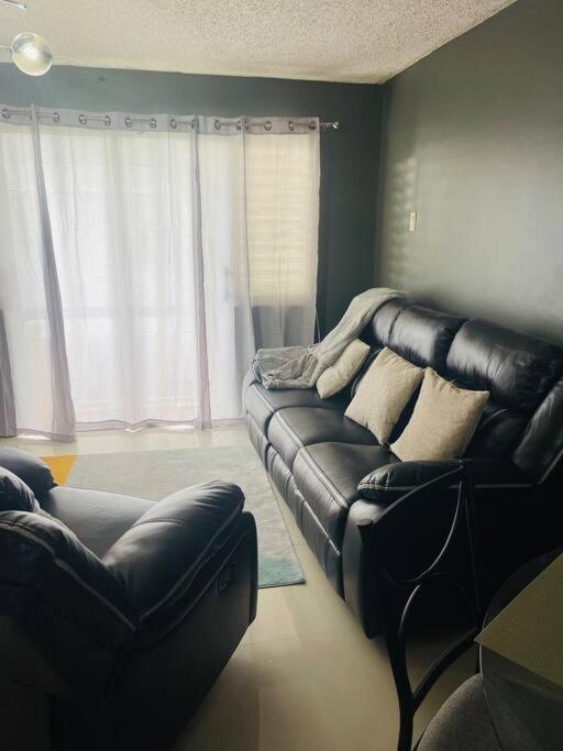 Appartement New Kingston Retreat Extérieur photo